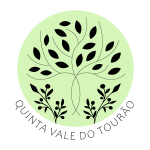 [dir-first sanitize=1]