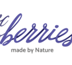 [dir-first sanitize=1]